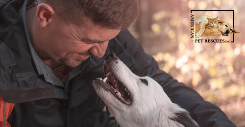 Why is Animal Rescue So Important?