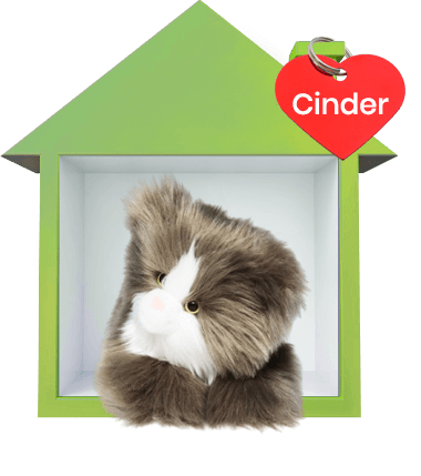 Adopt a Stuffed Animal Cinder