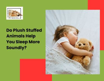 Do Stuffed Animals Help You Sleep More Soundly?