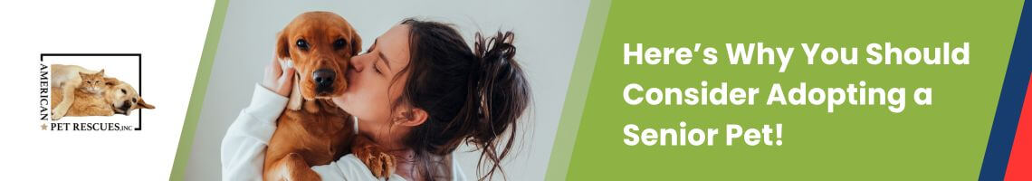 Here’s Why You Should Consider Adopting a Senior Pet!