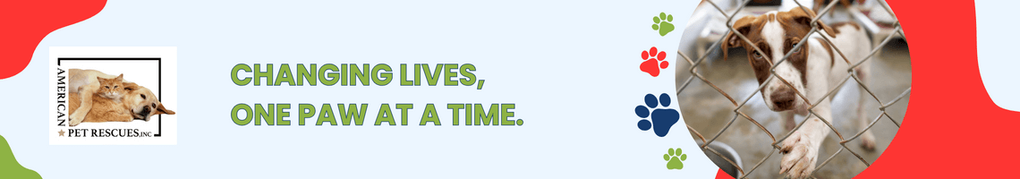 How to Support Animal Rescue When You Can’t Adopt a Pet