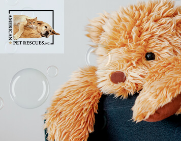 How to Wash Your Plush Stuffed Animals