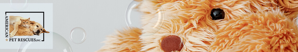 How to Wash Your Plush Stuffed Animals