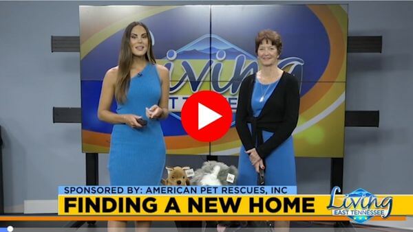 Living East Tennessee Appearance