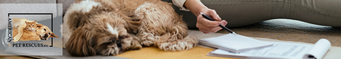 The Financial Cost of Adopting a Pet