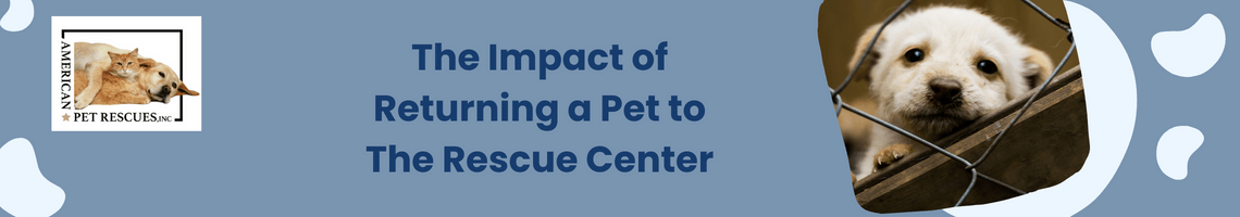 The Impact of Returning a Pet to The Rescue Center