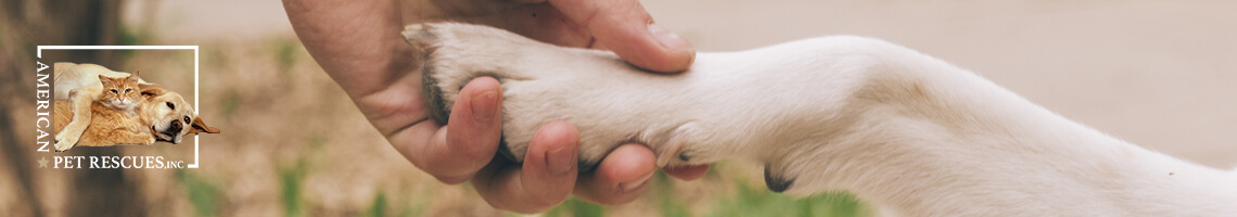 What Can You Do to Help Animals in Need?